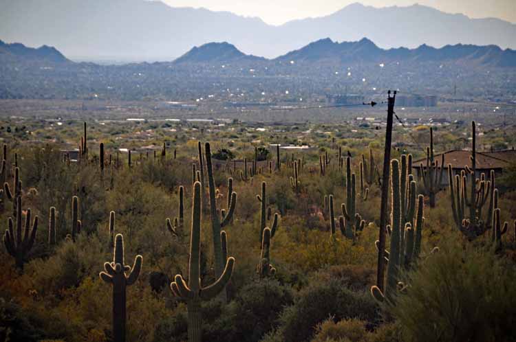 pinnacle peak